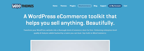 Woo Commerce