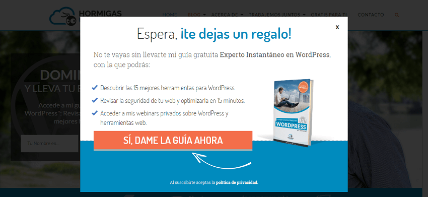 pop_up_de_salida