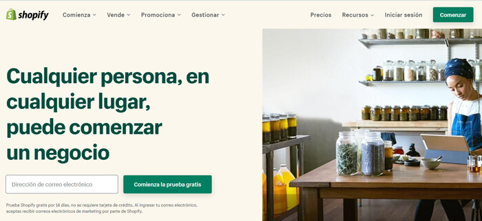 Web de Shopify